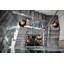 Lodes Kelly Cluster Suspension Lamp Line-V-1629707137