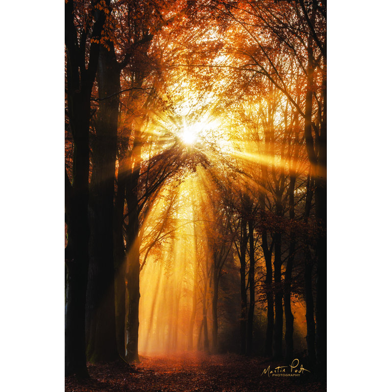 «Sunburst» par Martin Podt - impression, H 18 po x l 12 po, Toile tendue