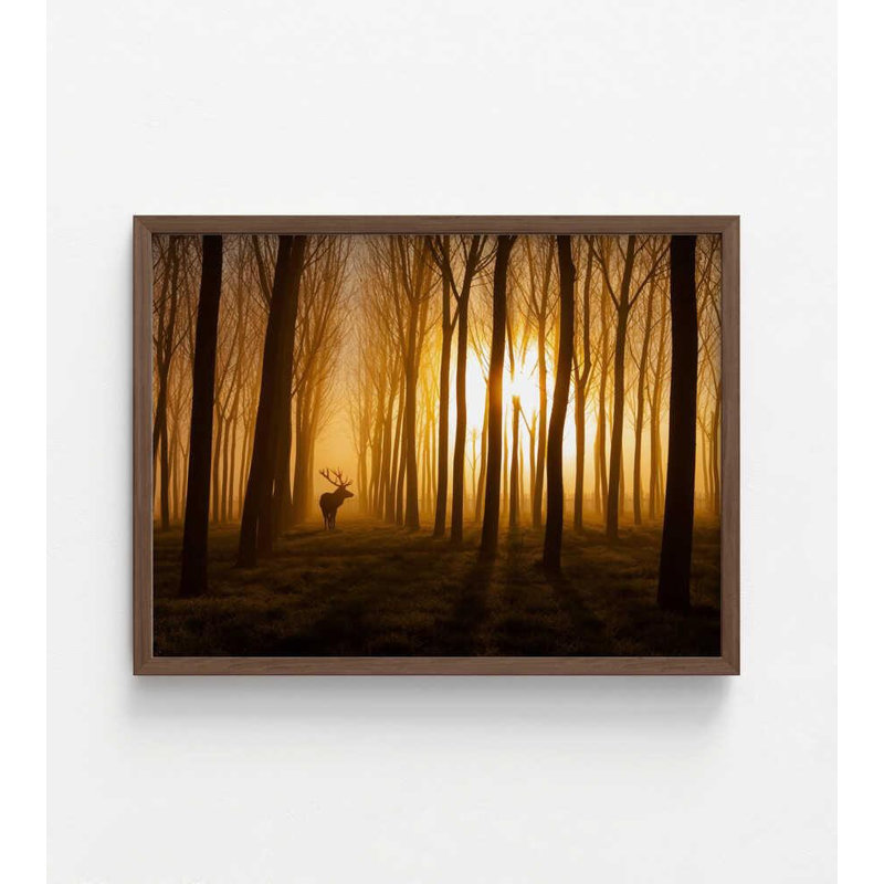 Cerf dans la lumière du matin | Forêt, reproduction de photo | Art mural nature, H 24 po x l 32 po, Brun