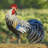 Aurelien Animals Weather Resistant Metal Garden Statue