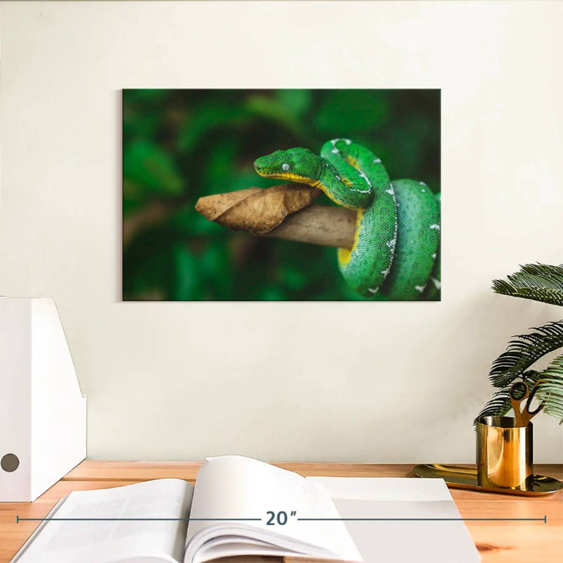 Emerald Tree Snake, 8" H x 12" W