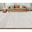 Oriental Area Rug in Beige