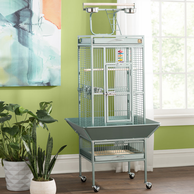 Cage à oiseau avec roues, support, perchoir, plateau Lucile, Petit (H 57 po x l 18 po x P 18 po), Vert sauge
