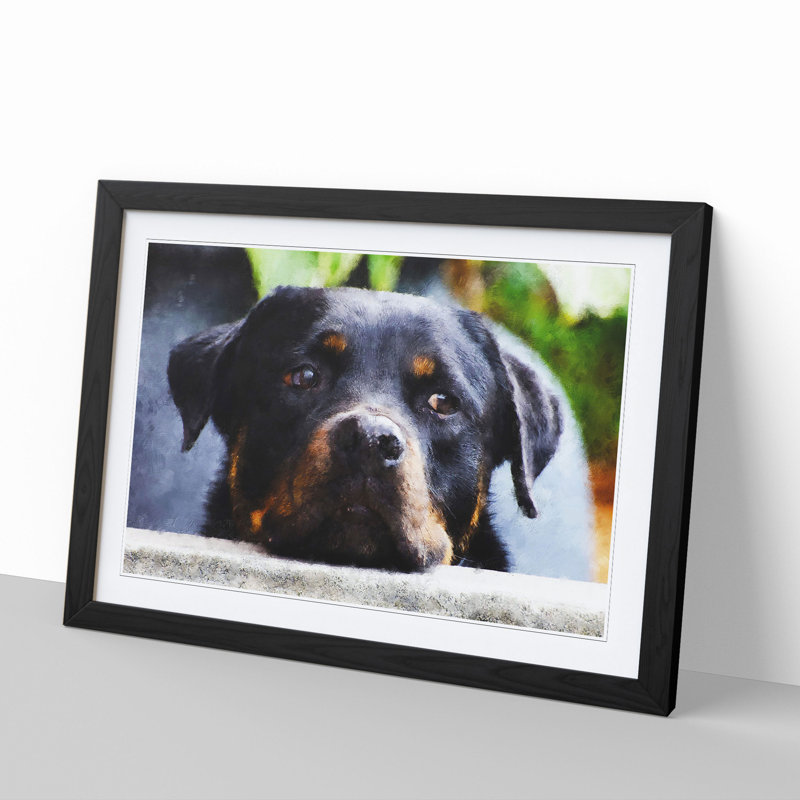 Rottweiler Dog - Picture Frame Graphic Art, Black Framed, 27cm H x 36cm W x 2cm D