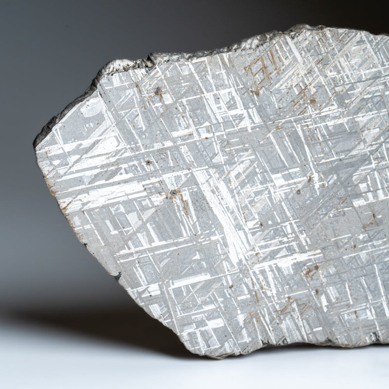 Genuine Muonionalusta Meteorite Slice (394 Grams)
