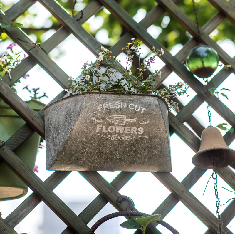 Slavin Metal Wall Planter, 9.6" H x 11" W x 5.7" D