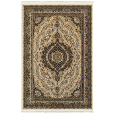 Knepp Oriental Indoor Rug
