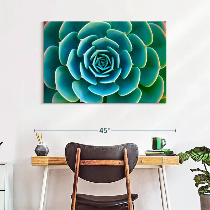 «Live Succulent», reproduction sur toile, H 26 po x l 39 po x P 1,25 po