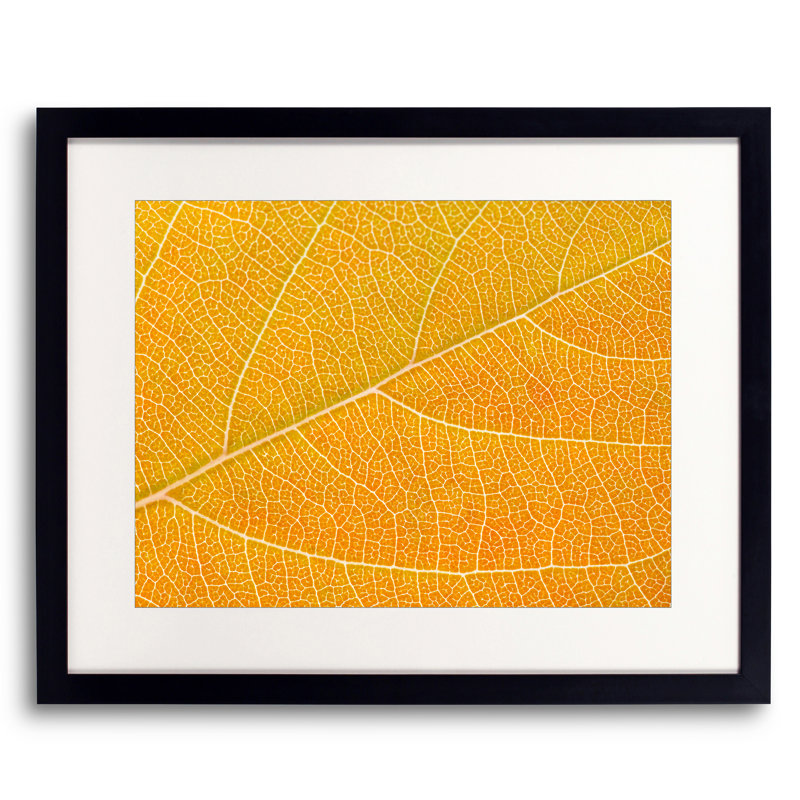 Autumn Leaf Print by Philippe Monthoux, 16" H x 20" W, Black Framed Paper