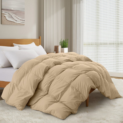 Édredon en duvet blanc épais 600
