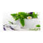 Lubinson 50cm W x 100cm L Glass Peel and Stick Panel