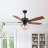 52" Alzata 5-Blade Standard Ceiling Fan with Remote Control and Light Kit-1570331389-1512608601