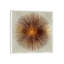 Print on Canvas-56803858-89233833-34181208