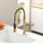 Pull Down Kitchen Faucet-125337517