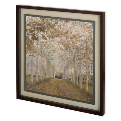 «White Gold» par Frank, Asssaf, reproduction d'art encadrée sous verre