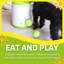 Jouet pour chien Interactives