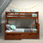 Delroy Twin over Full 2 Drawer Solid Wood Standard Bunk Bed-498001961