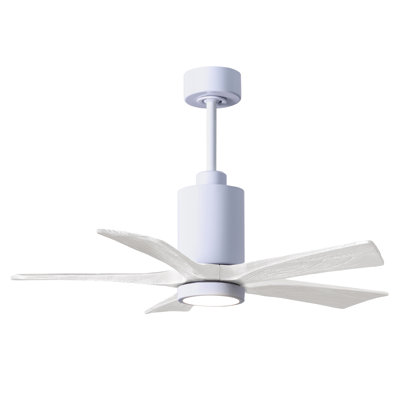 Patricia LED Downrod Ceiling Fan