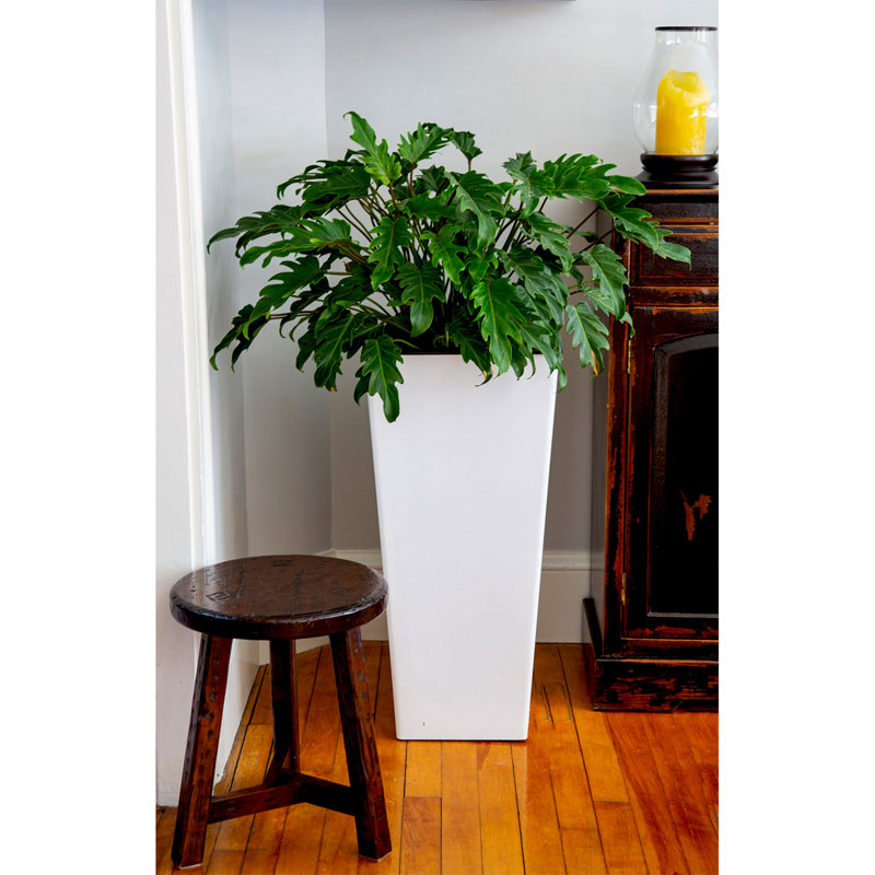 Pot de fleurs en plastique Trevail, 4