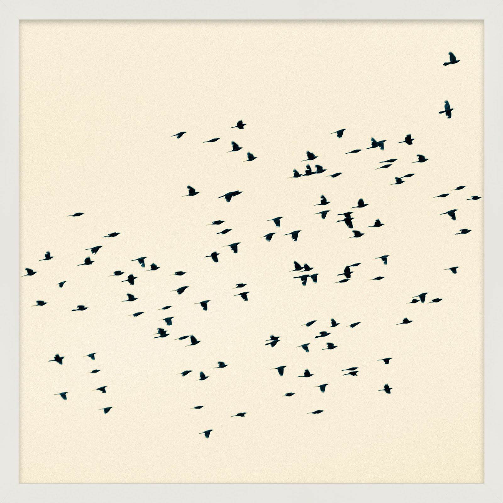 Soaring by Peter Dušek, 44" H x 44" W x 1.25" D, White