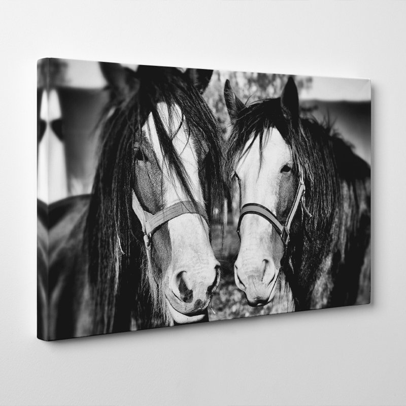 Two Horses Photographic - Wrapped Canvas, 50cm H x 76cm W