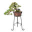 Edgerly Metal Cachepot-732411009