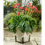 Lettie Weather Resistant Planter Feet