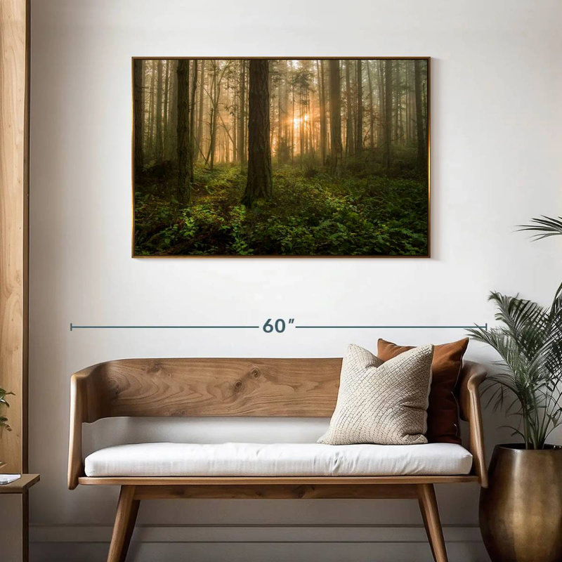 Lever de soleil sur la forêt de l'île Lummi, Cadre flottant doré, 43 po x 29 po