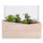 7'' Faux Succulent in Manufactured Wood Pot
