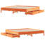 Storage Bed-124964336-124964337