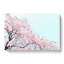 Pink Cherry Blossom Tree - Wrapped Canvas-55324888