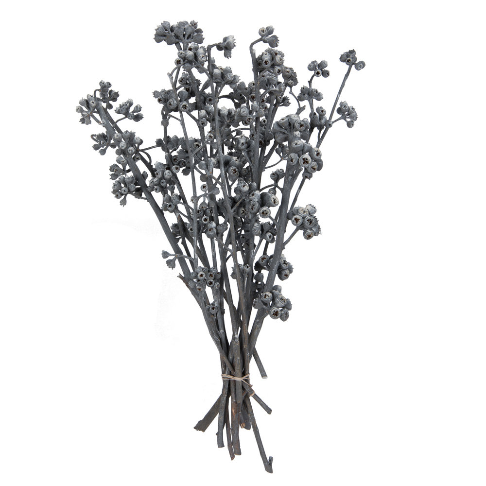 13'' Branch, Gray