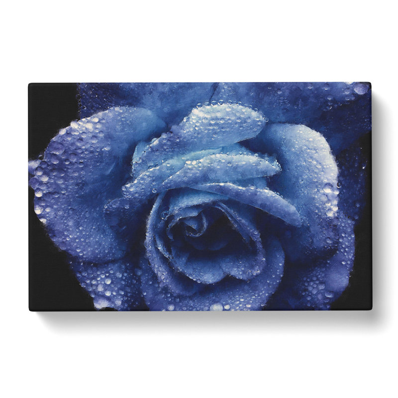 Blue Rose - Wrapped Canvas Painting, 35cm H x 50cm W x 3cm D