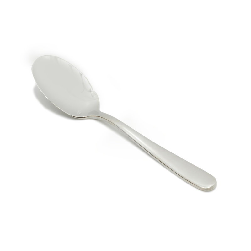 Silver Stainless Steel Flat Serving Spoons Set of 12