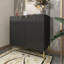 Armoire d'appoint 2 portes