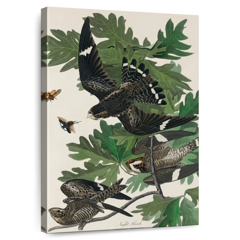 Night Hawk, 45" H x 30" W
