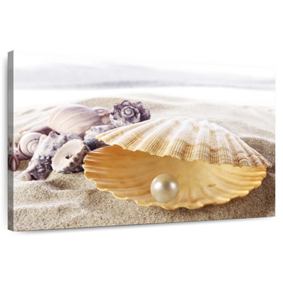 Coquillage Aletra avec perle