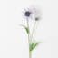 Daisy Bloom Stems-1985272405