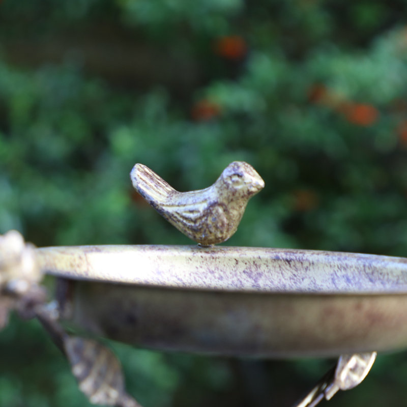 Amonette Metal Hanging Tray Bird Feeder