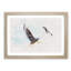 Pair of Flying Seagulls - Framed Print-56851881-56851886