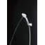 G Series Massage/Jett Handheld Shower Head-31300353