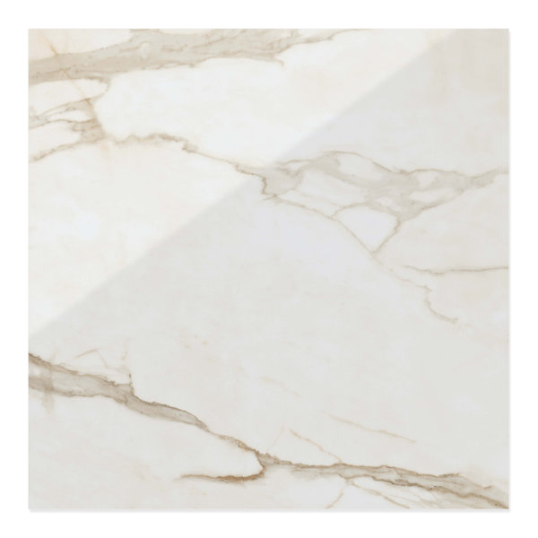 Fino Glossy 24x24 Porcelain Floor & Wall Tile (15.5 Sq. Ft./Case)