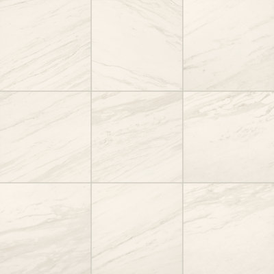 Daltile Perpetuo 12" x 12" Matte Porcelain Floor & Wall Tile (13 PCS Per Carton) (12.22 SQFT Per Carton)
