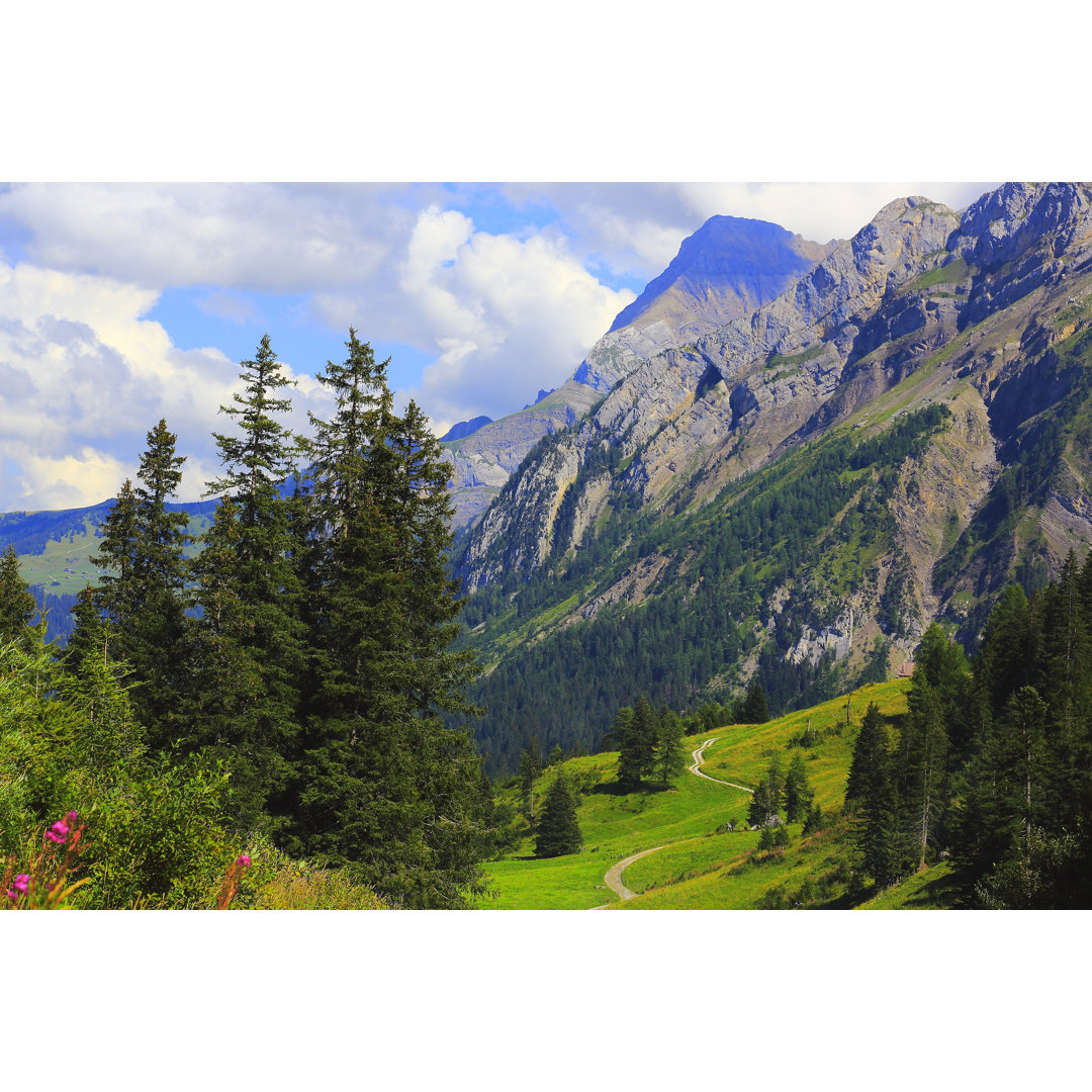 Alpenweg, Landstraße, Engadiner Tannenwald: Schweizer Alpen von Agustavop - Kunstdrucke ohne Rahmen auf Leinwand