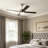 Avamaria 52'' Ceiling Fan with LED Lights-737889649