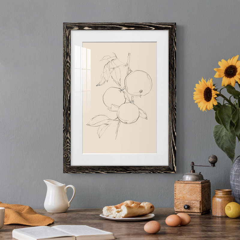 Fruit Contour Study I Premium encadré mat - prêt à être suspendu, H 24 po x l 20 po x P 1 po, Cadre noir