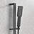 Wall Mounted Shower System with Bodysprays