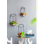 Planter, Set of 3 Wall Planter