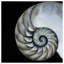 « perley nautilus », impression sur verre