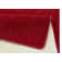 Fancy Red Rug